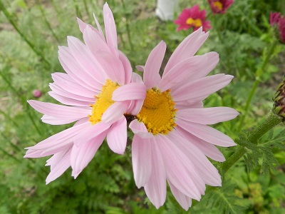 RSCN0839.JPG