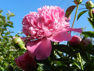 DSCN0880.JPG