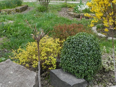 RSCN7930.JPG
