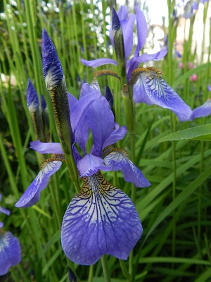 RSCN8939.JPG