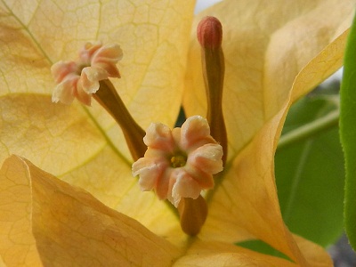 RSCN0099.JPG