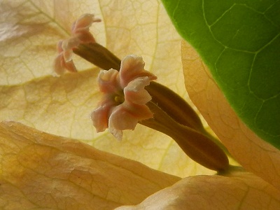 RSCN0103.JPG