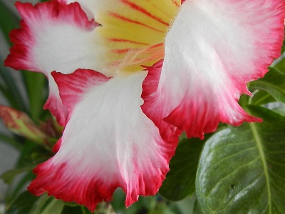 RSCN9821.JPG