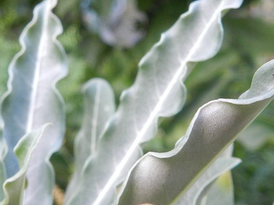 RSCN0063.JPG