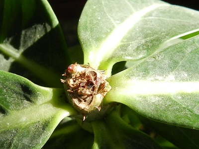RSCN1023.JPG