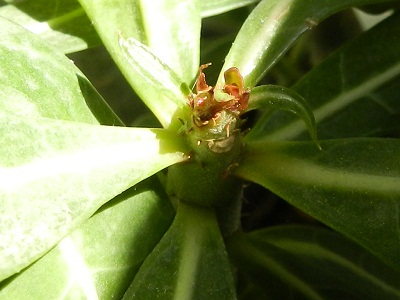 RSCN1034.JPG