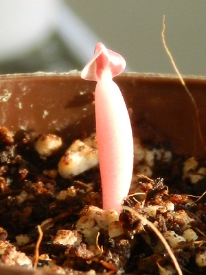 RSCN1691.JPG