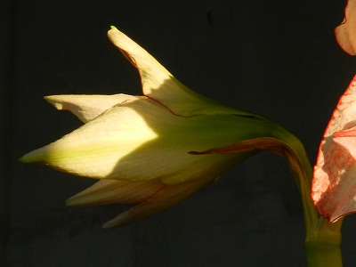 RSCN3835.JPG