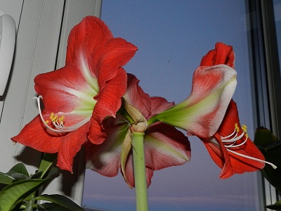RSCN3879.JPG