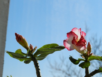 DSCN4179.JPG