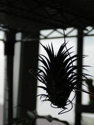 DSCN5597.JPG