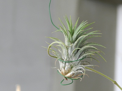 DSCN5604.JPG
