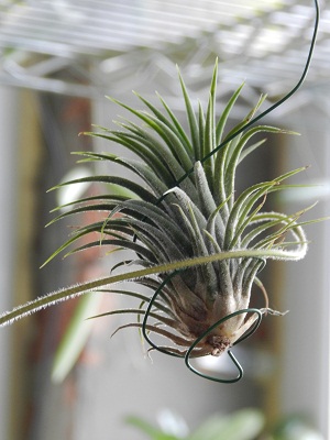 DSCN5594.JPG