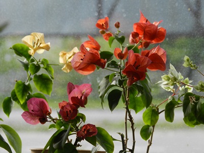 DSCN5979.JPG