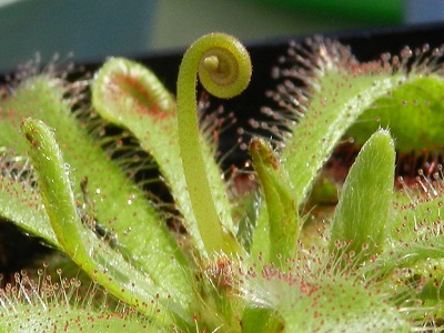 RSCN8051.JPG
