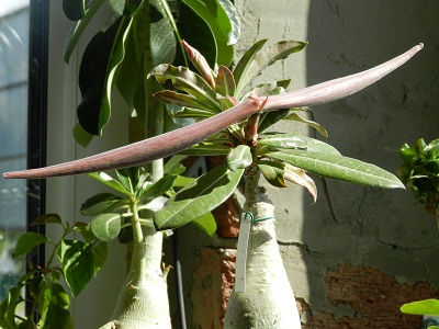 RSCN9563.JPG