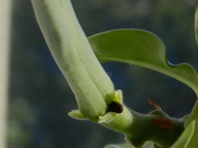 RSCN9601.JPG