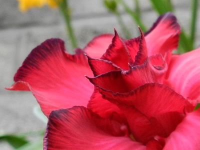 RSCN9746.JPG