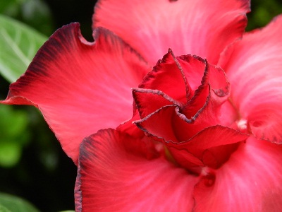 RSCN9743.JPG