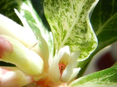 RSCN0227.JPG