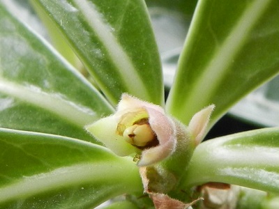 RSCN0339.JPG