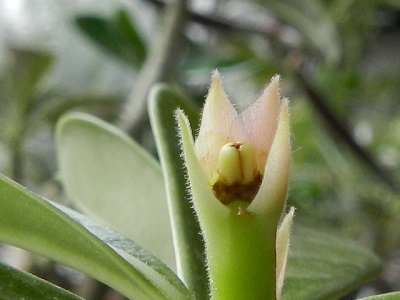 RSCN0357.JPG