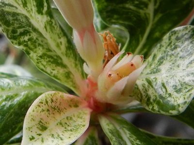 RSCN0109.JPG