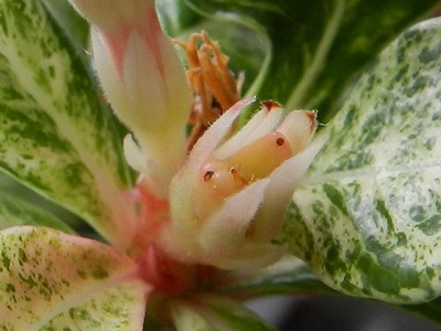 RSCN0111.JPG