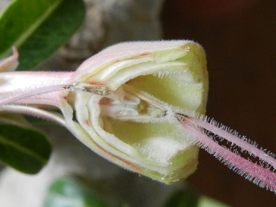 RSCN0147.JPG