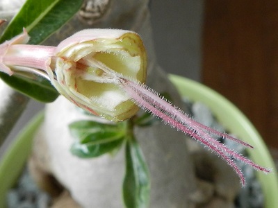 RSCN0144.JPG