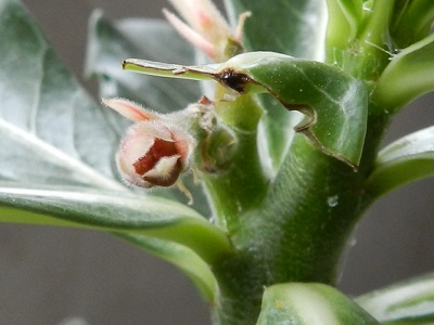 RSCN0105.JPG