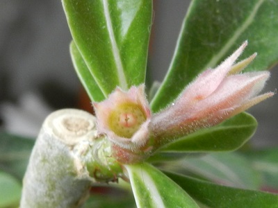 RSCN0153.JPG