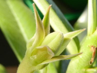 RSCN0171.JPG