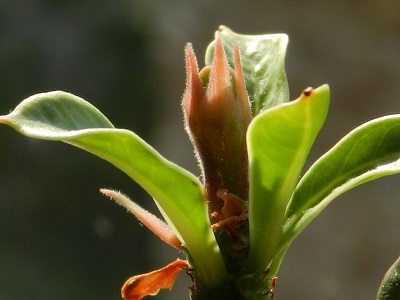RSCN0210.JPG