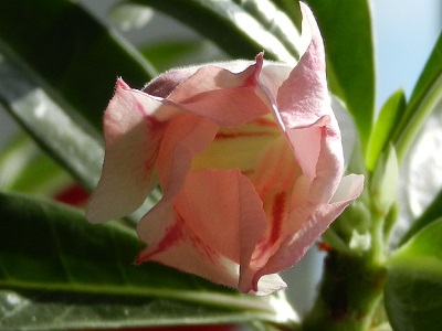 RSCN0347.JPG