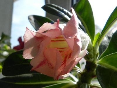 RSCN0357.JPG