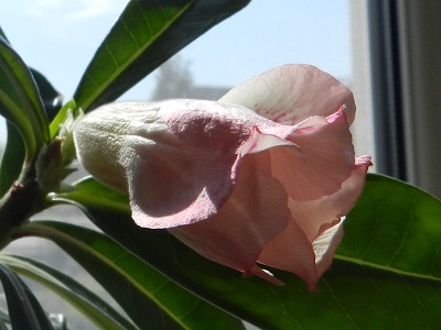 RSCN0369.JPG