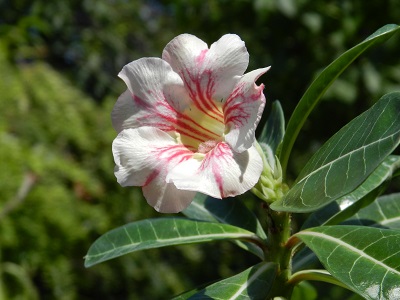 RSCN0398.JPG