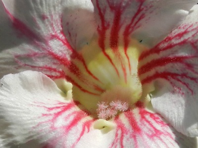 RSCN0401.JPG
