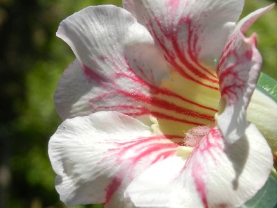 RSCN0399.JPG