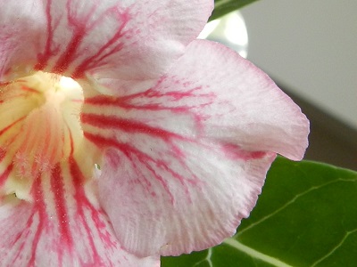 RSCN0447.JPG