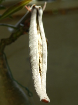RSCN0598.JPG