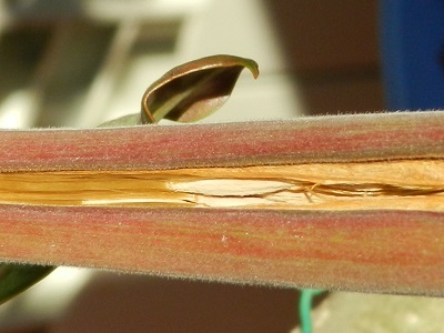 RSCN0592.JPG