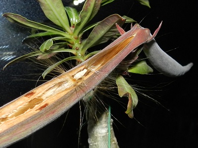 RSCN0663.JPG