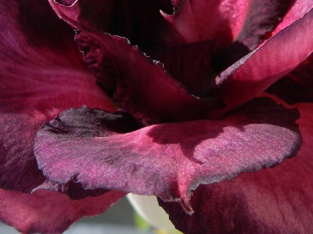 RSCN0879.JPG