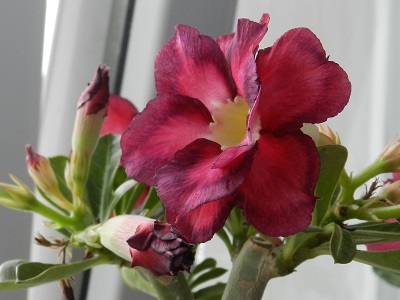 RSCN0970.JPG