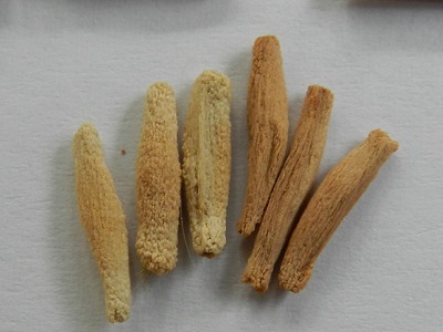 RSCN2695.JPG