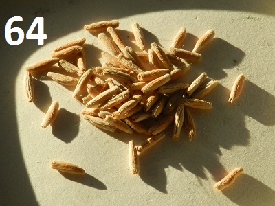 RSCN2725.JPG