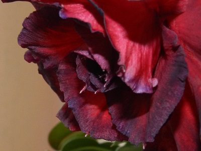 RSCN3450.JPG