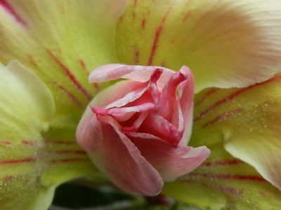 RSCN3987.JPG